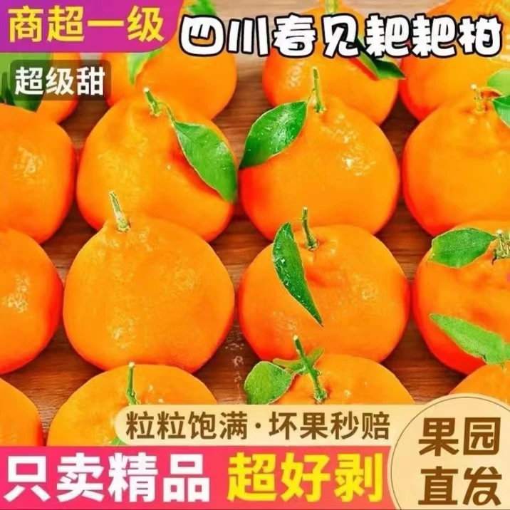 【爆汁】四川春见耙耙2-8斤 坏果包赔砂糖橘皇帝柑沃柑小金桔丑橘