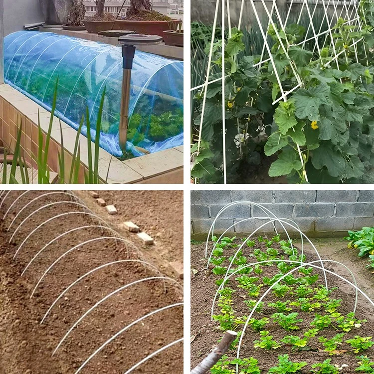 拱棚竹竿支架10毫米2.5米40根