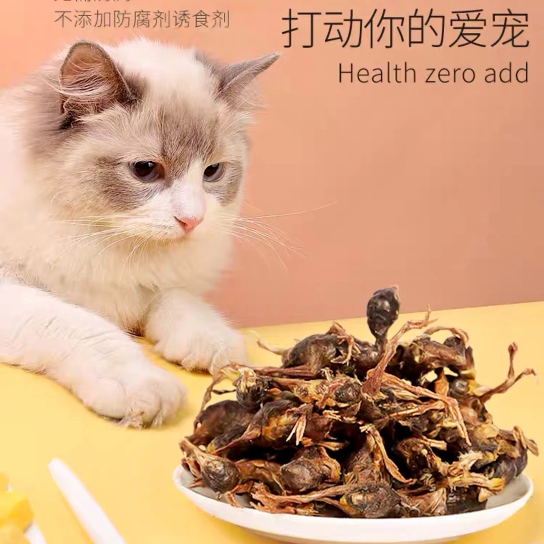 冻干小鸡仔猫犬通用