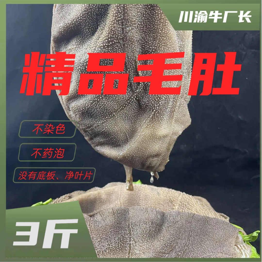 【直播热卖】精品毛肚叶片火锅麻辣烫新鲜3斤冷藏水煮重庆