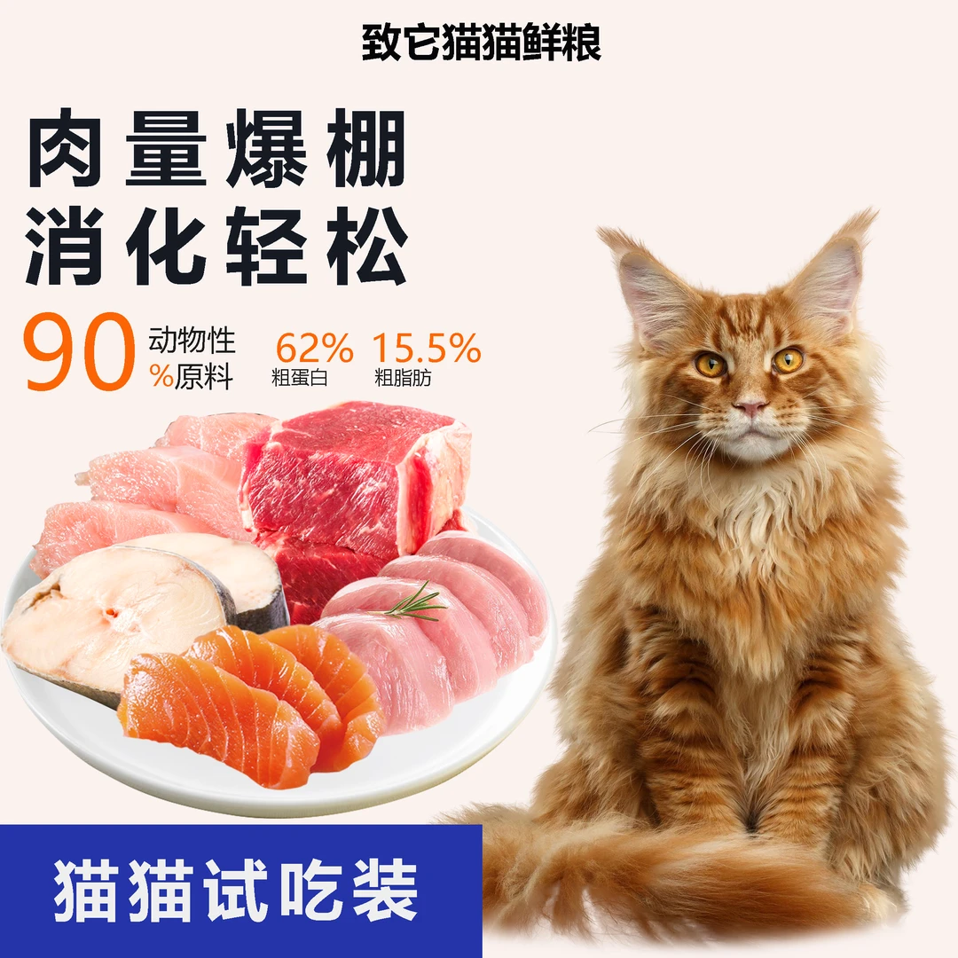 猫咪鲜食试吃体验装定制消化鲜粮全阶段营养混合现做通用通用猫饭