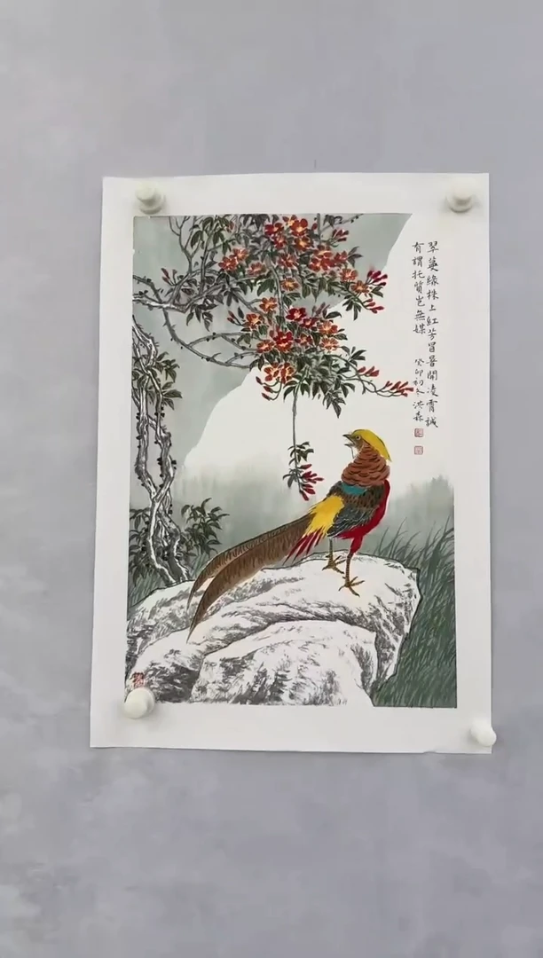 【闪购商品】绘画HS,DZ