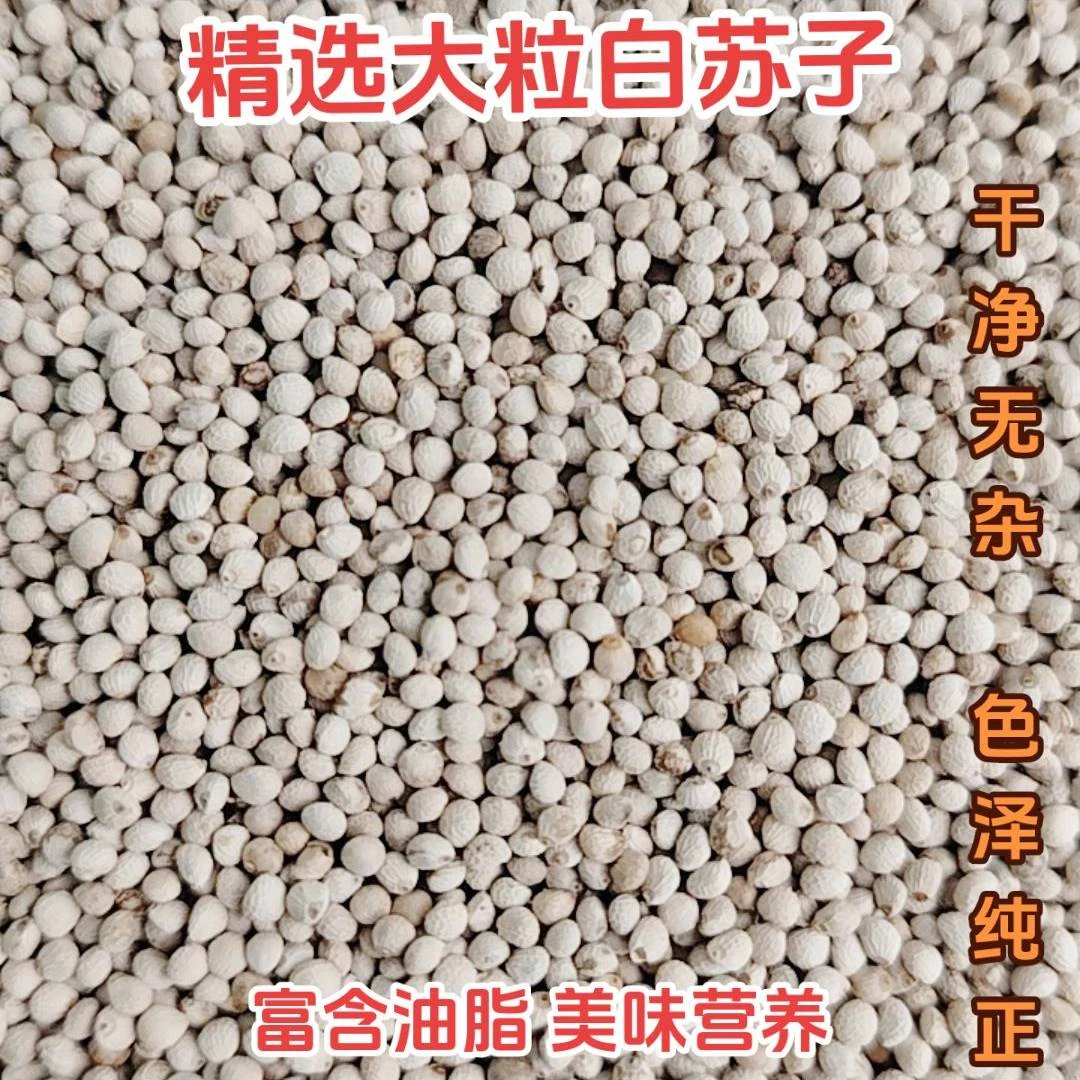 精选大粒白苏子金丝雀玉鸟芙蓉鸟丝雀文鸟珍珠鸟鹦鹉等鸟食