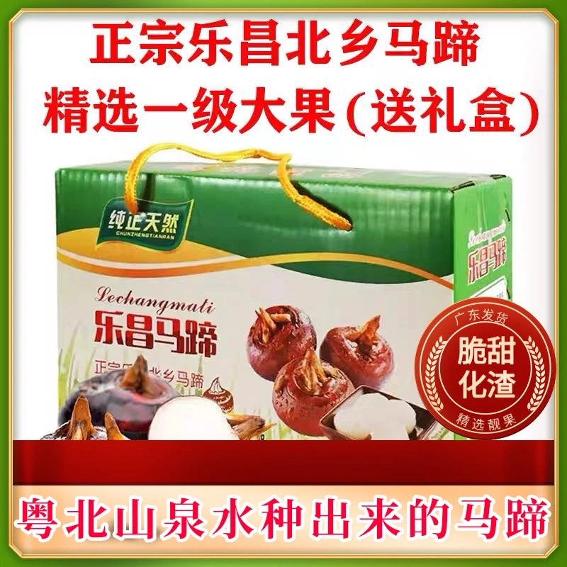 乐昌马蹄新鲜马蹄荸荠水果农家马蹄果超甜5斤批发包邮火锅食材