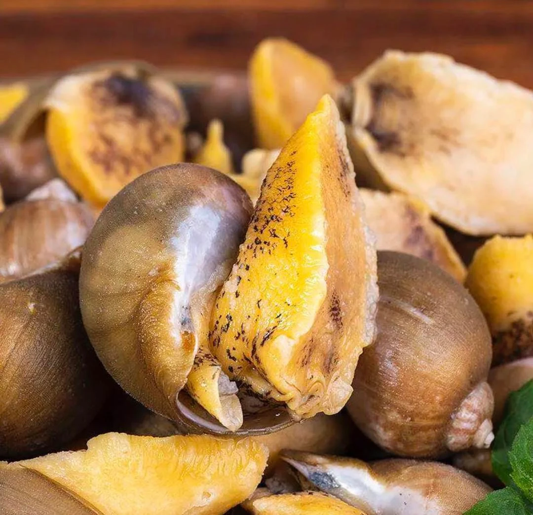 老婆脚鲜活急冻鲍螺老婆脚大号有黄鲍鱼螺海鲜水产黄金鲍新鲜澳鲍