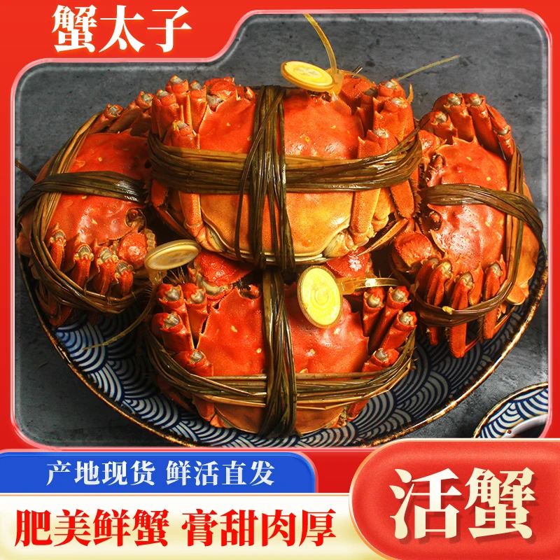 【精品活蟹】江苏蟹太子母蟹2.8-2.5两10只【三妹专属】