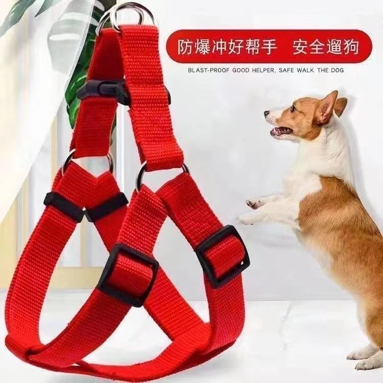 泰迪柯基拴狗脖套防脱项圈狗狗用品背带项圈狗狗反光防丢项圈狗狗