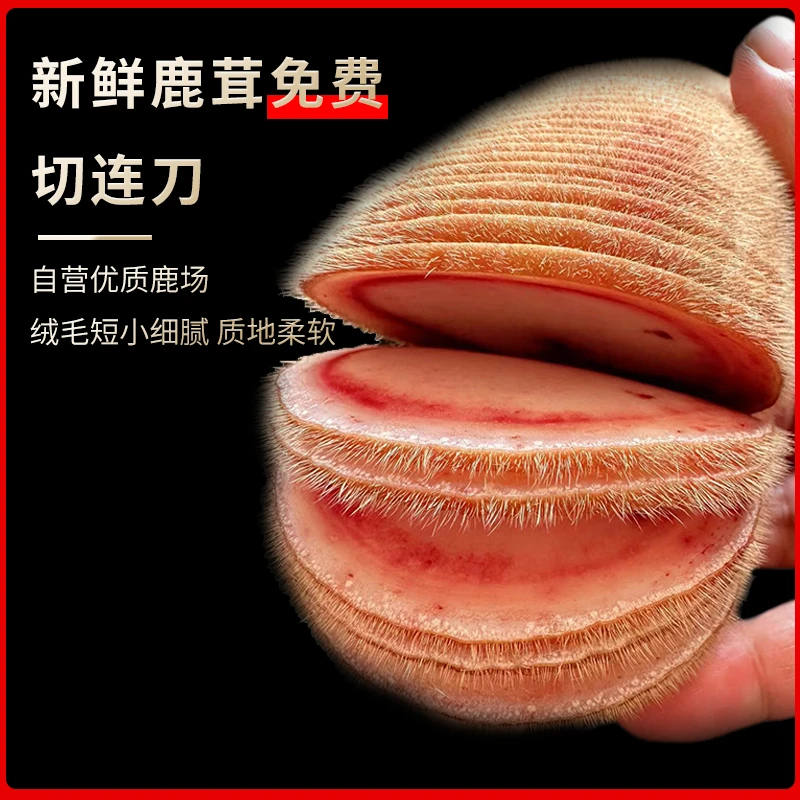 鲜鹿茸 产地直销 直播间选购 改价链接