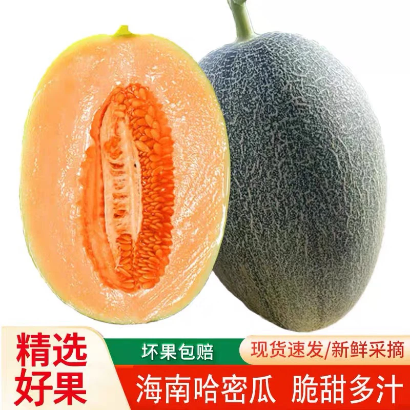 【亏本冲量】正宗海南密瓜蜜瓜现摘现发脆甜爽口细腻口口蜜1-9斤装
