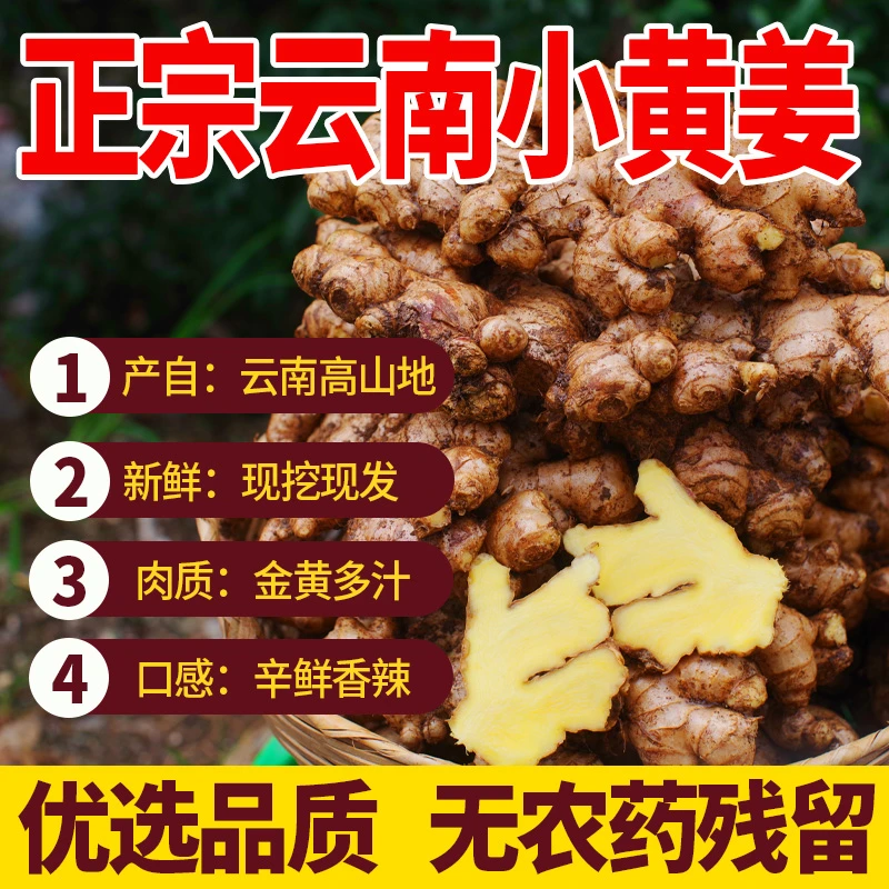 【山地小黄姜】精品小黄姜本地新鲜蔬菜生姜整箱批发0.5斤-9斤调味