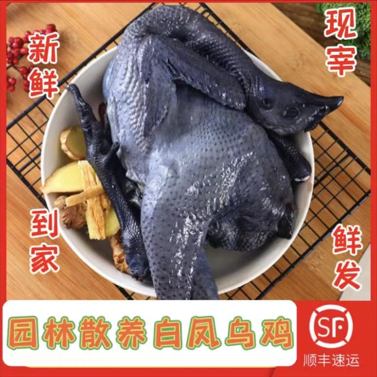 【拍两只送两只】净重5斤  正宗新鲜生态乌鸡现杀活鸡 顺丰冷链
