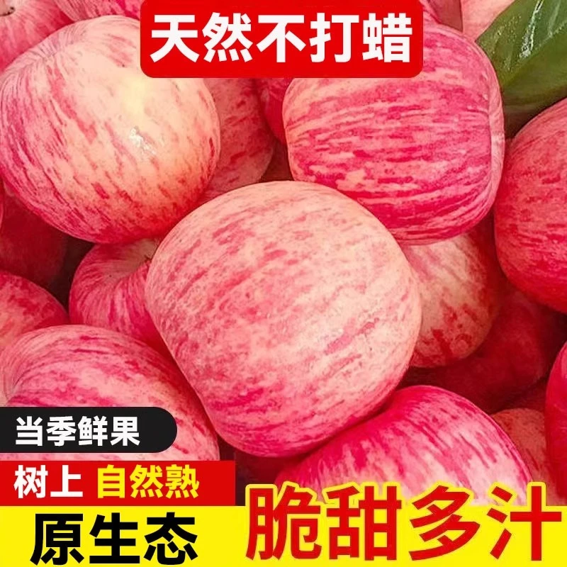 正宗陕西红富士苹果新鲜膜袋红富士高山果脆甜多汁新果产地直发