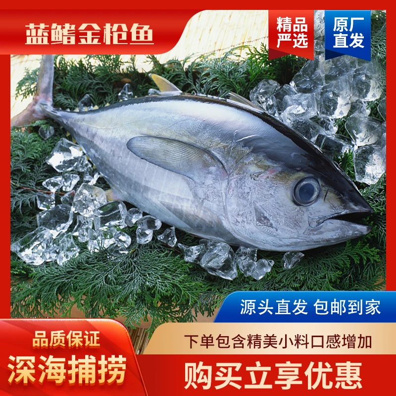 7斤多南海野钓蓝鳍超低温新鲜深海高营养价值冷链新鲜金枪鱼