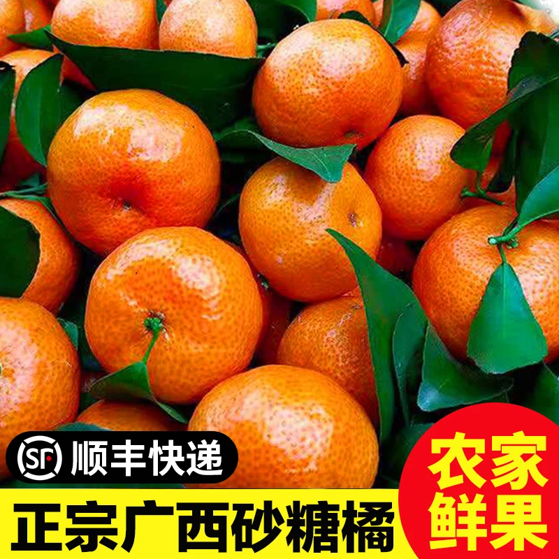 【顺丰包邮】正宗广西砂糖橘纯甜皮薄沙糖桔小桔子柑橘新鲜现摘现发
