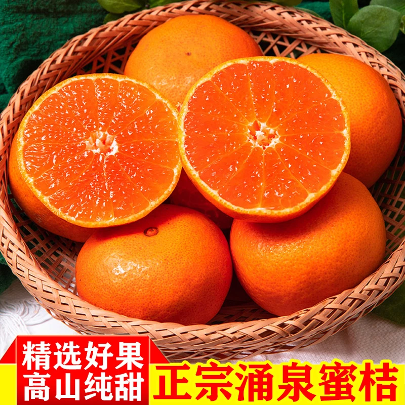 【顺丰/京东】正宗临海涌泉蜜橘孕妇无核蜜桔5/9斤现摘现发无核无渣