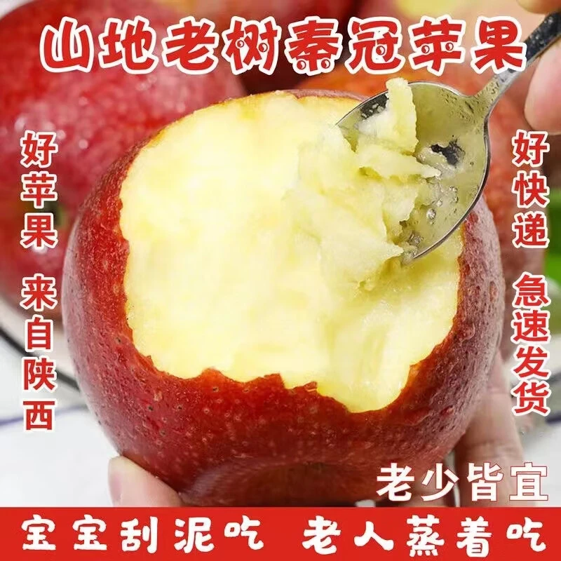 【彩箱发货】陕西丑苹果秦冠苹果粉面沙甜新鲜丑苹果脆粉两吃3-10斤