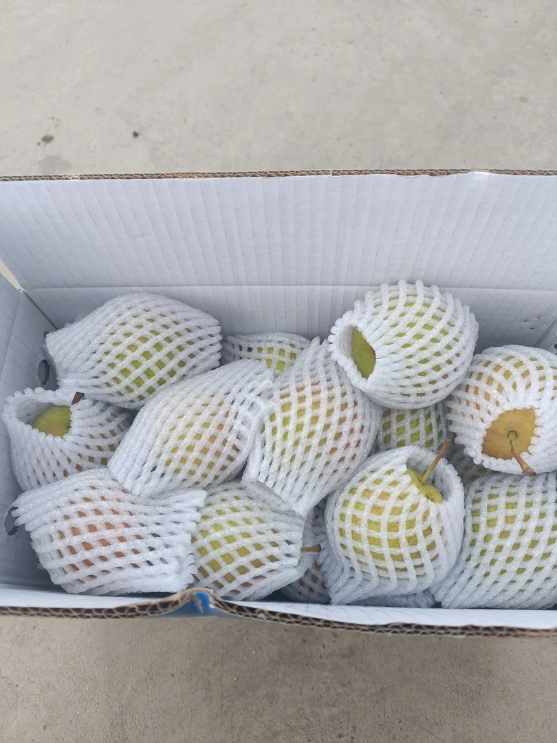 南果梨净果5斤包邮辽宁鞍山特产