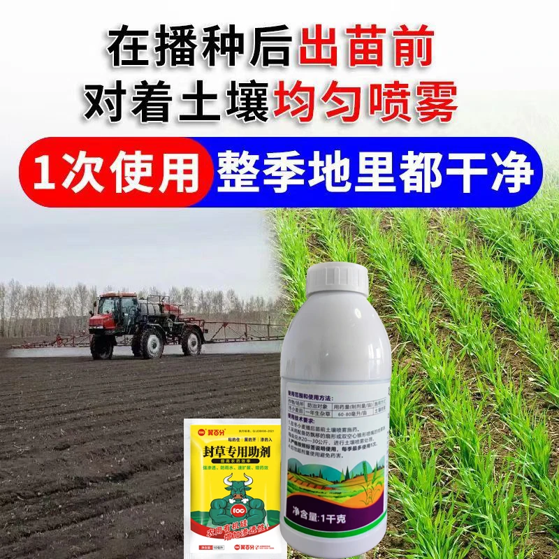 小麦田看麦娘雀麦黑麦草等等封闭杂草种子专用小麦苗前水溶肥
