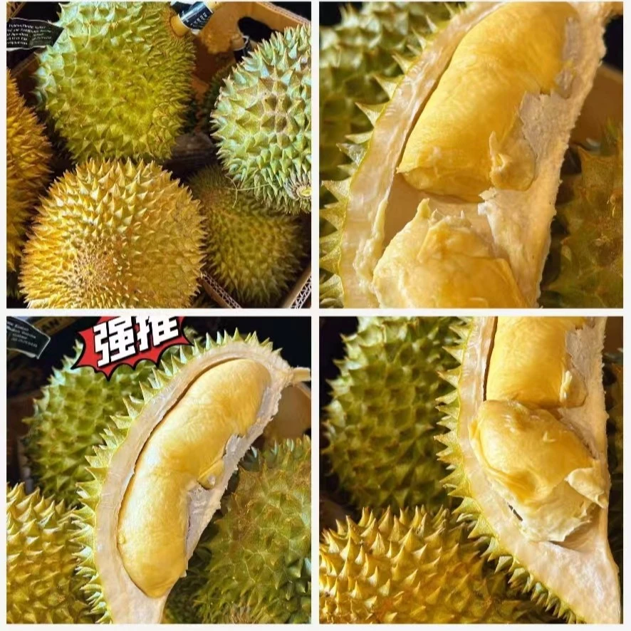 泰国金枕榴莲A果现剥果肉