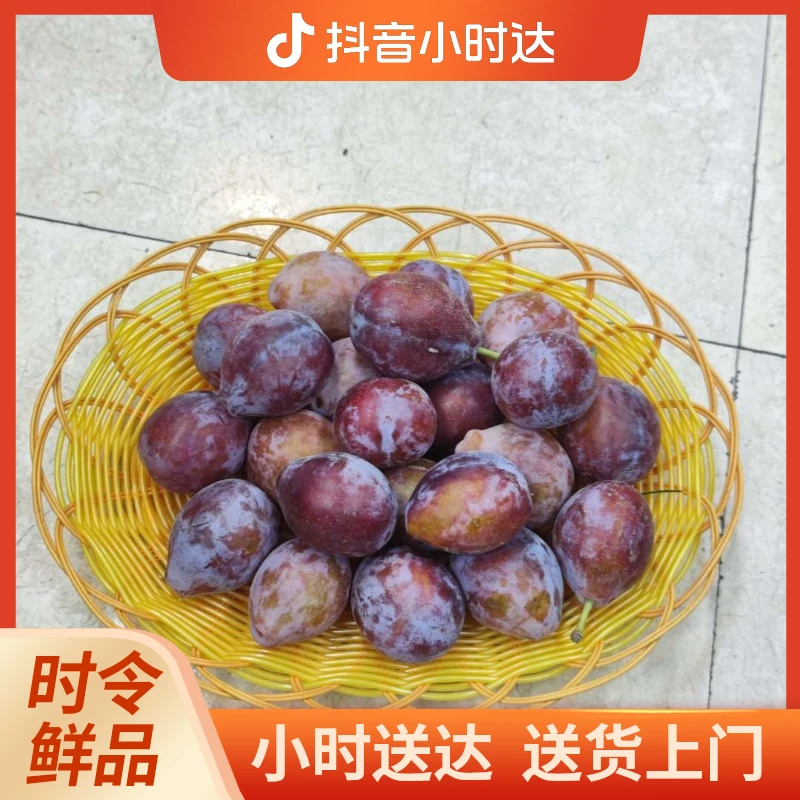 新疆西梅鲜甜爆汁 营养丰富 老少皆宜