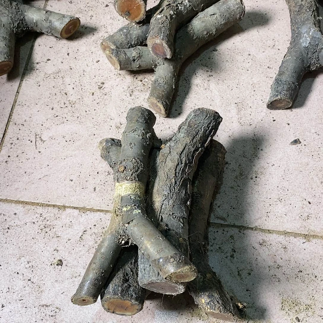 麻利疙瘩13131313梦***沙