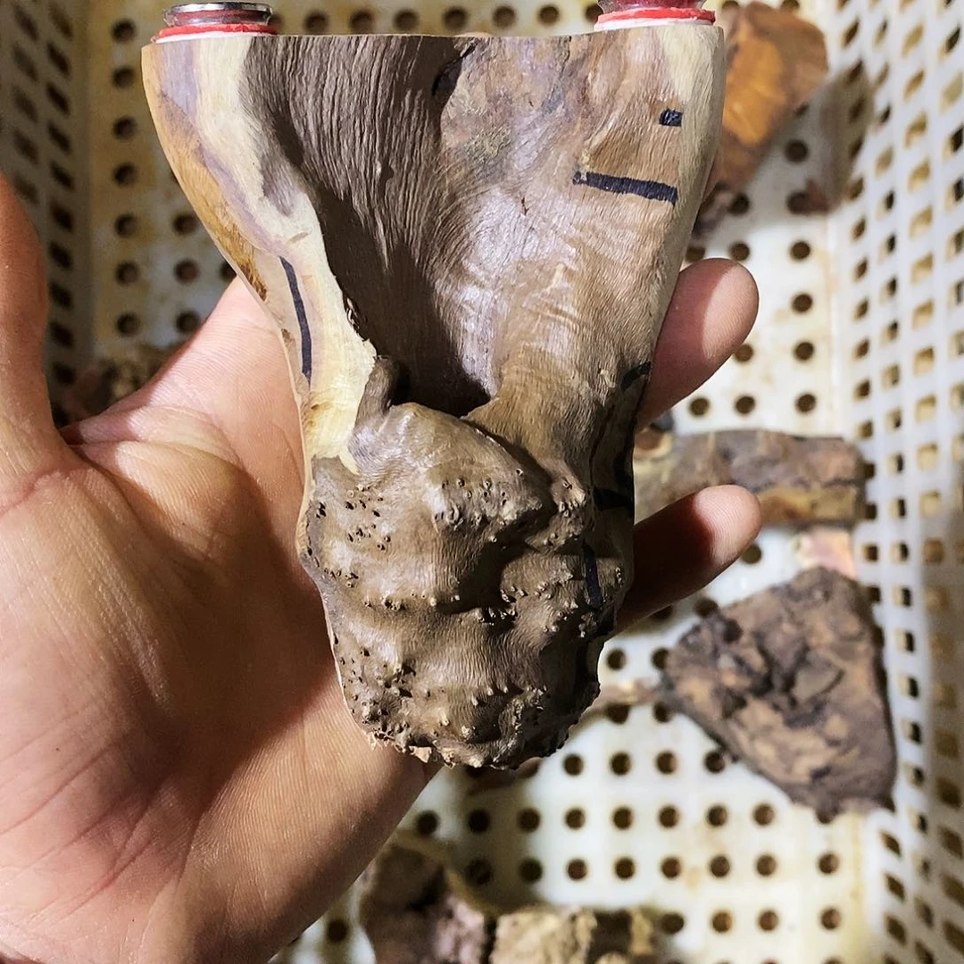 小叶鼠李木12688888嚒*哒