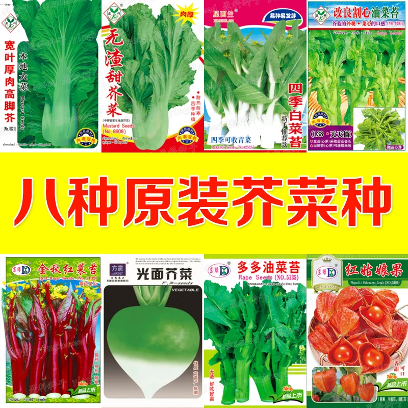 8种芥菜组合种子套餐 芥菜组合 四季播种 农家芥菜阳台庭院种子