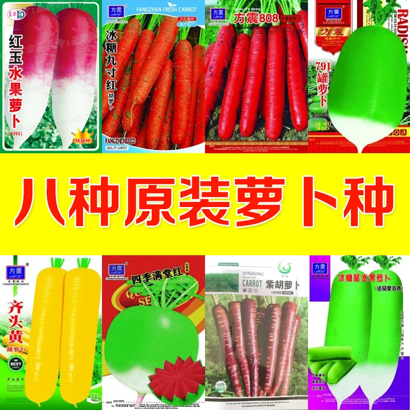 八种萝卜种子阳台室内水果萝卜种子适合沙拉蔬菜种子阳台可种