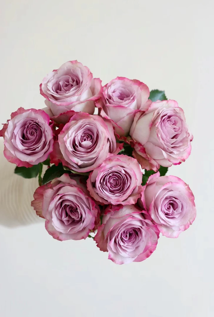 【气场】玫瑰鲜花 云南基地直发 任意2单冷链包邮送货上门