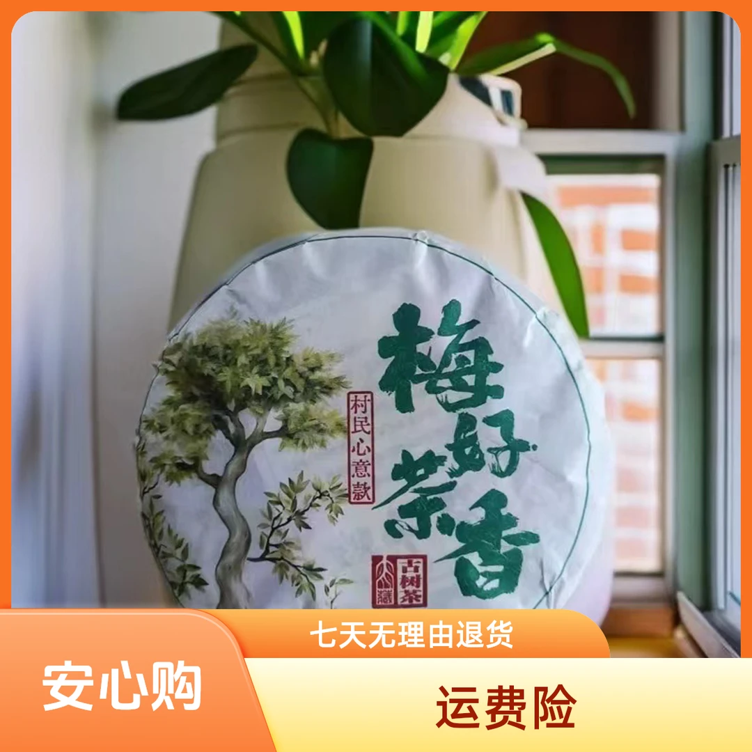 2024梅子箐梅好茶香 古树纯料100克饼 花果香明显