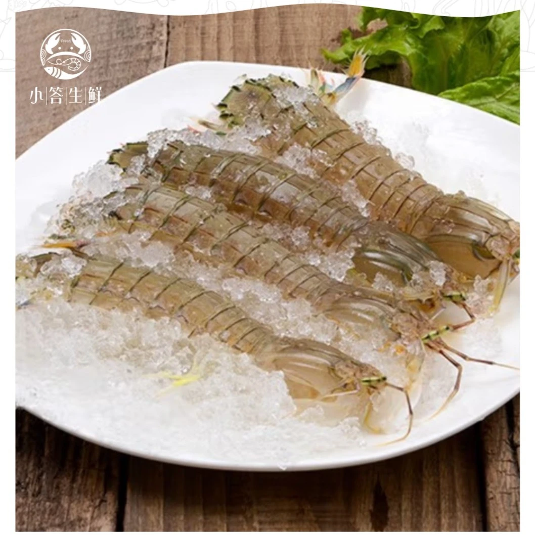 【青海西宁】鲜活皮皮虾鲜活发货海鲜水产打氧发货鲜活到家肉质鲜嫩