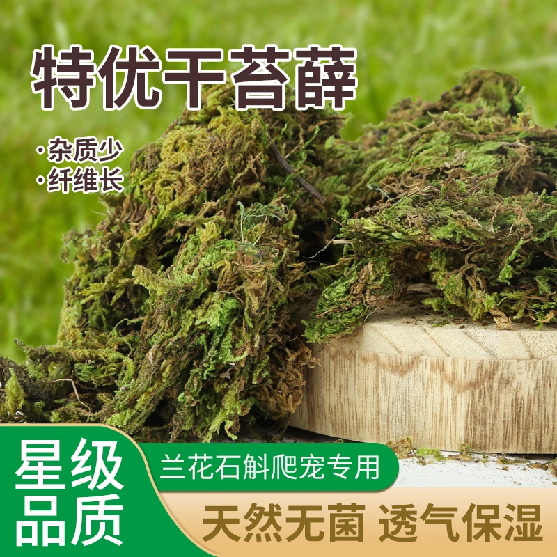 蝴蝶兰花专用干苔藓水苔石斛兰花营养土青苔乌龟冬眠运输爬宠垫材