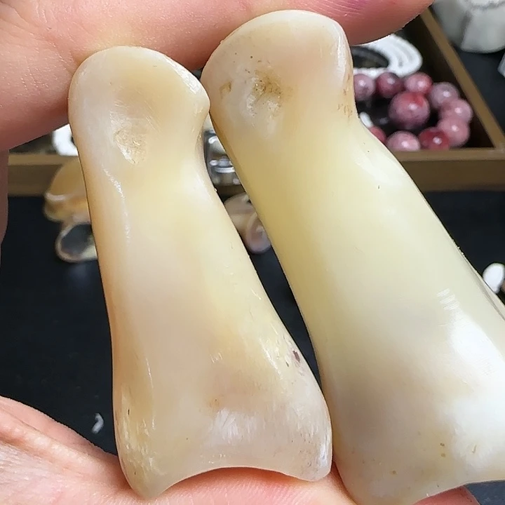 养殖鹿趾骨一对福利