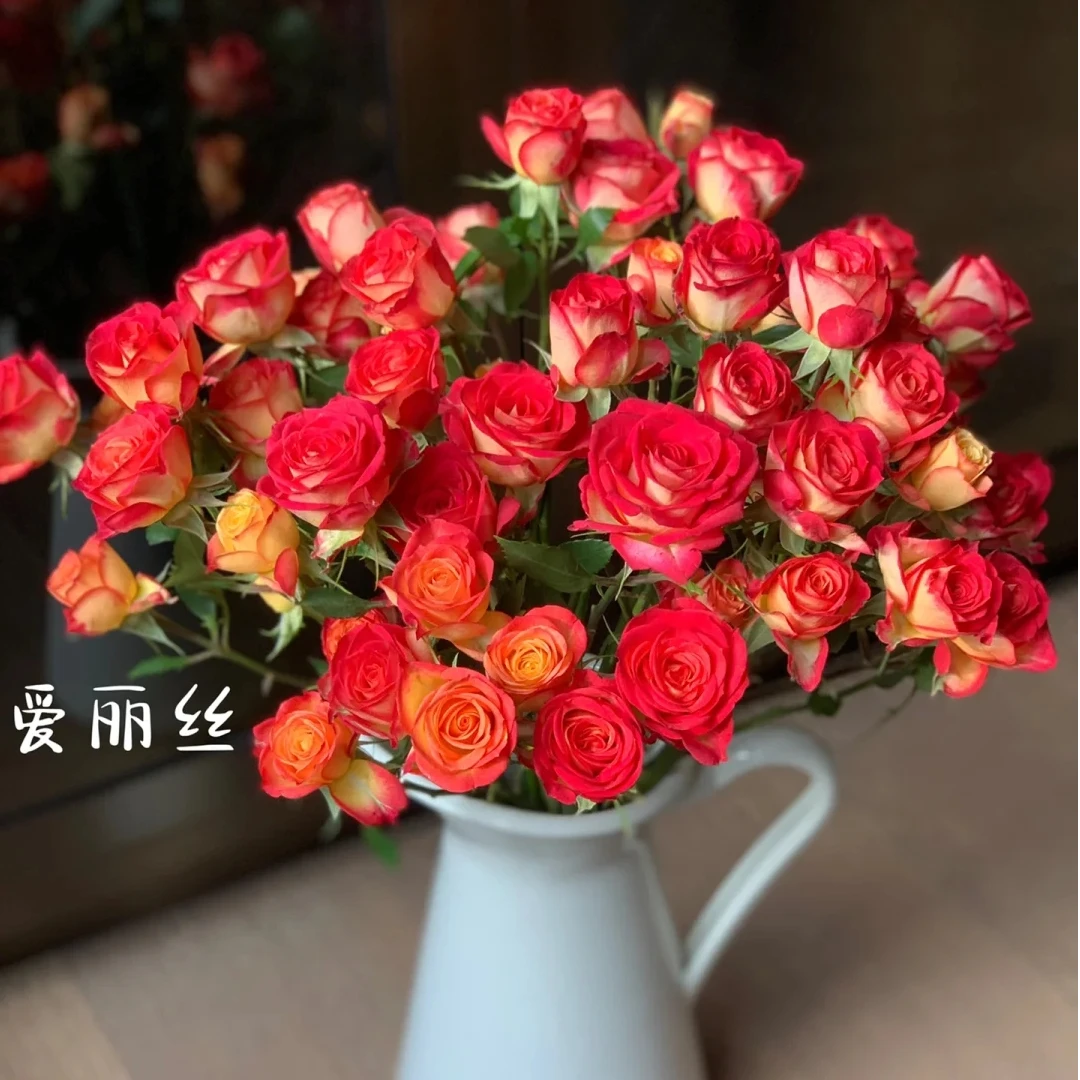 【爱丽丝泡泡】-全场满2单顺丰包邮/1单默认发中通快递