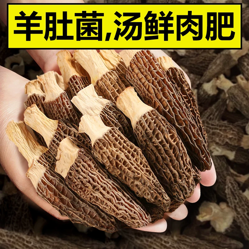 【尝鲜推荐】羊肚菌干货50g 新鲜菌菇煲汤食材天然云南非特级野生
