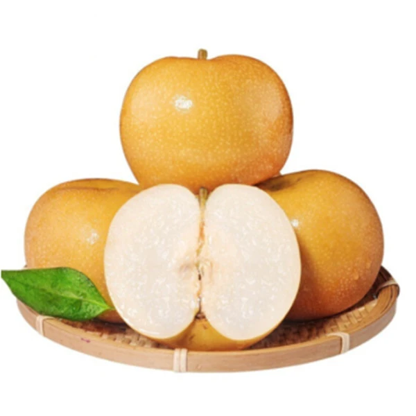 【正宗秋月梨】梨园现摘现发正宗秋月梨净重5斤顺丰包邮(