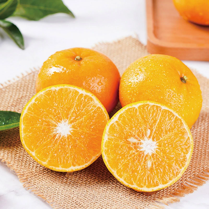 A2广西武鸣沃柑现摘香甜多汁自制饮料果汁新鲜采摘