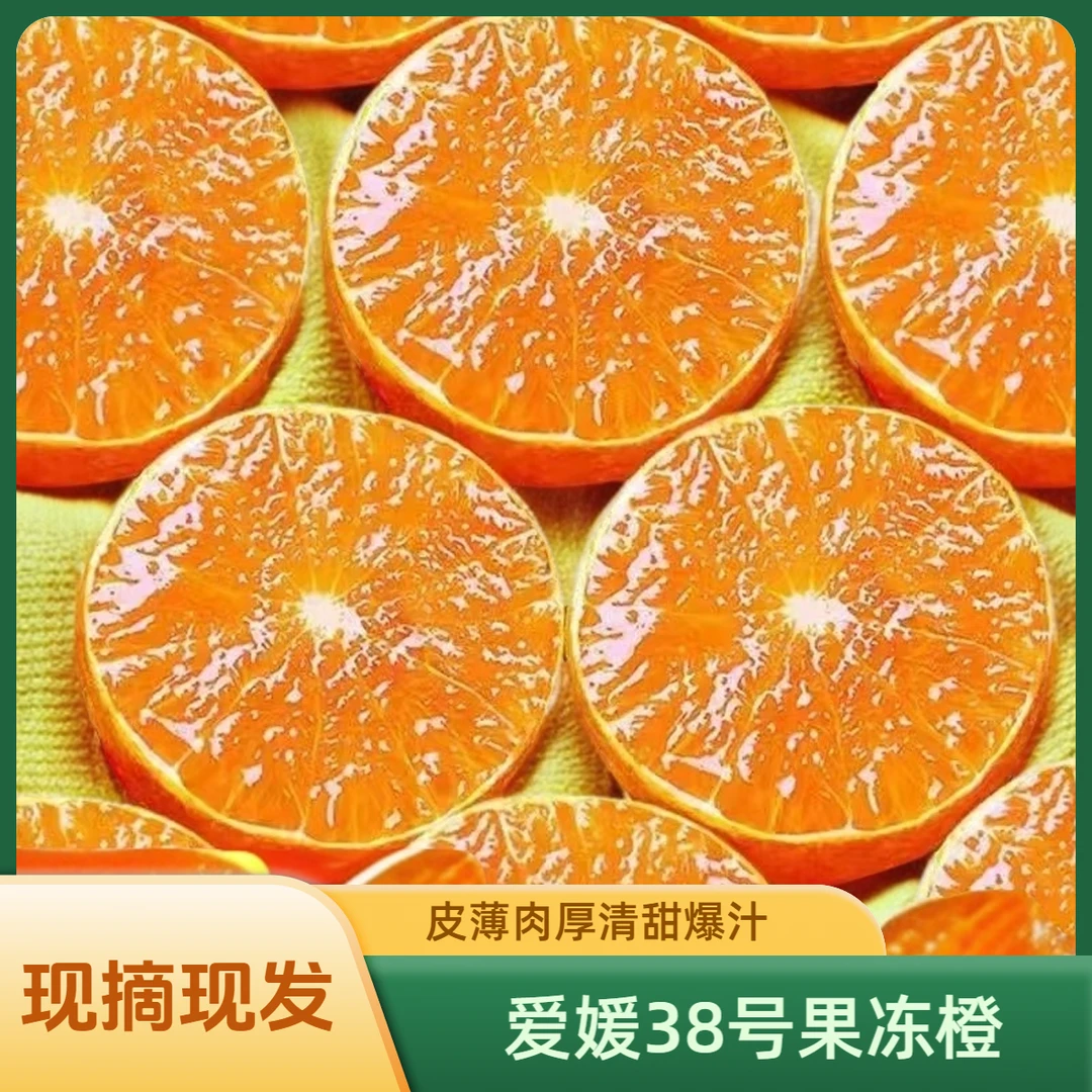 正宗四川眉山爱媛38号果冻橙皮薄肉厚手剥橙新鲜橙子当季孕妇水果