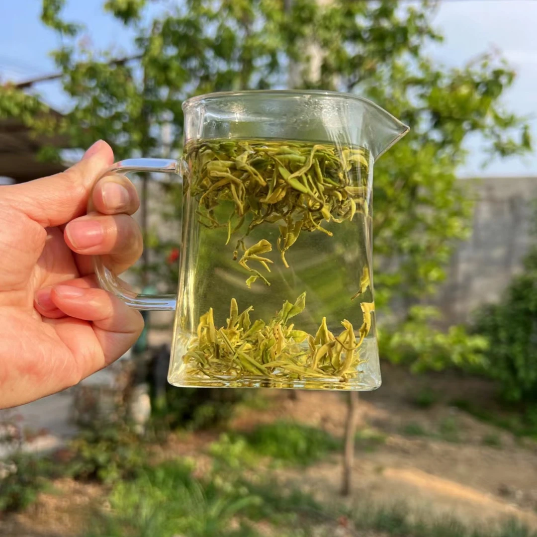 曙日春日照绿茶露天春茶鲜爽口感