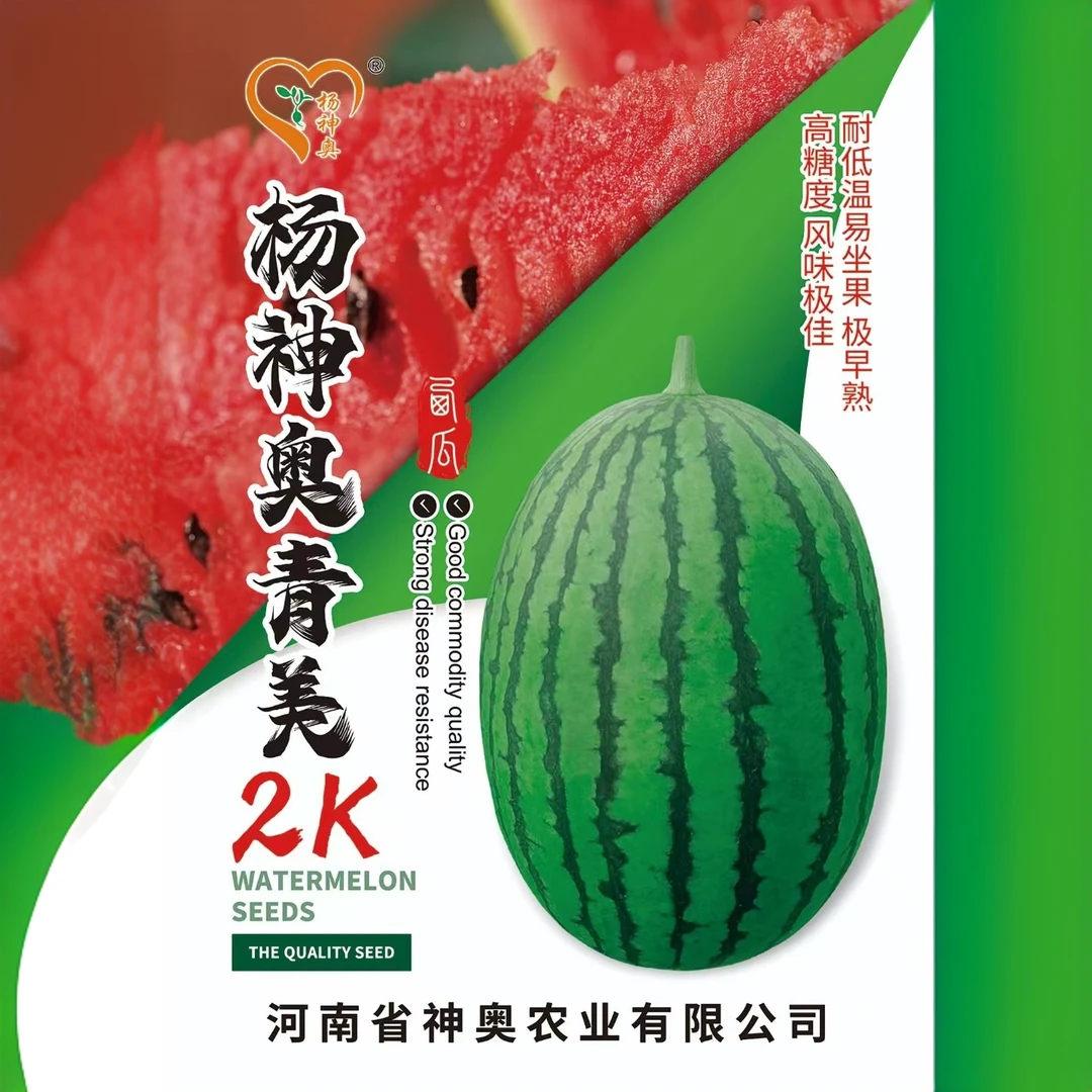 青美2K 耐低温 极早熟 高糖度