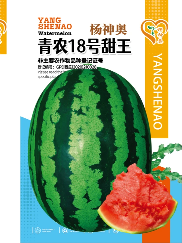 青农18号甜王种子大果形高产。小肚脐，耐裂耐水晶大红瓤