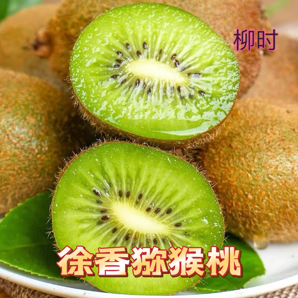 【微山满哥专属】陕西徐香猕猴桃15枚/20枚/24枚/30枚催熟食用