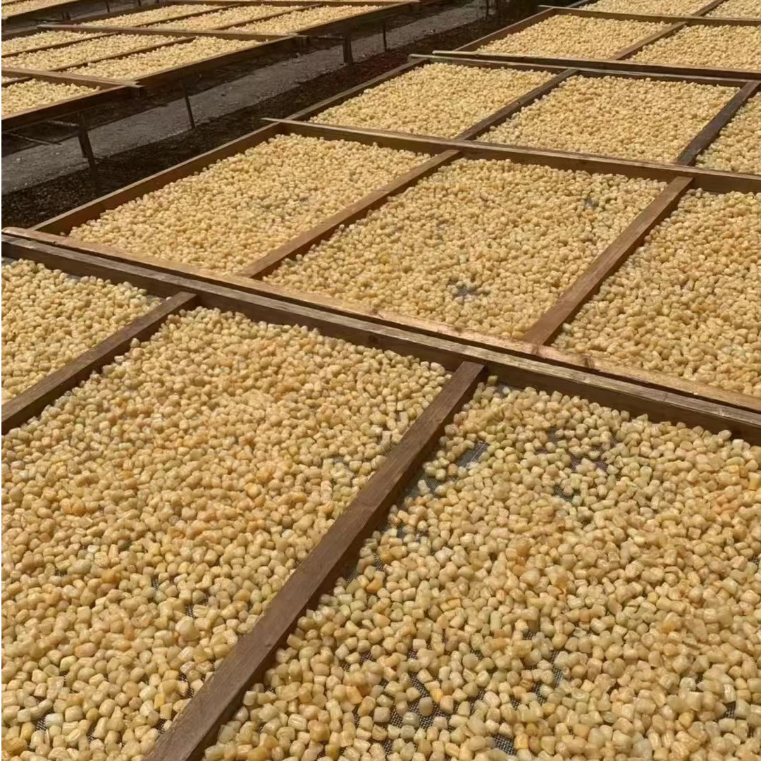 【1斤装 八九成干 渔民自晒 】 瑶柱干贝 海鲜干货煲汤煮粥