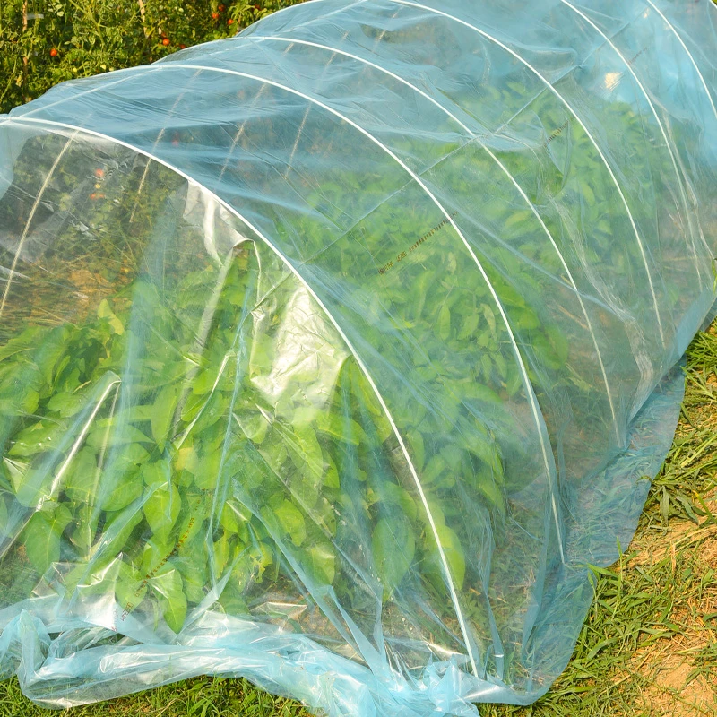 拱棚膜塑料膜透明加厚塑料薄膜保温小拱棚膜