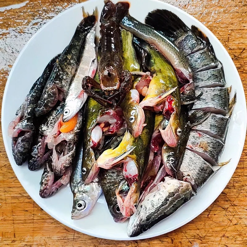无品牌安徽宣城小杂鱼小河鱼一份4斤杀好后发货食用速冻鱼虾鲜