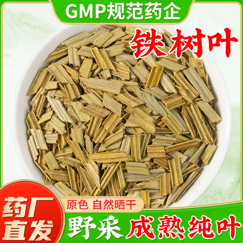 铁树叶中药材官方旗舰店正品 新鲜干货成熟采摘铁树叶中草药材
