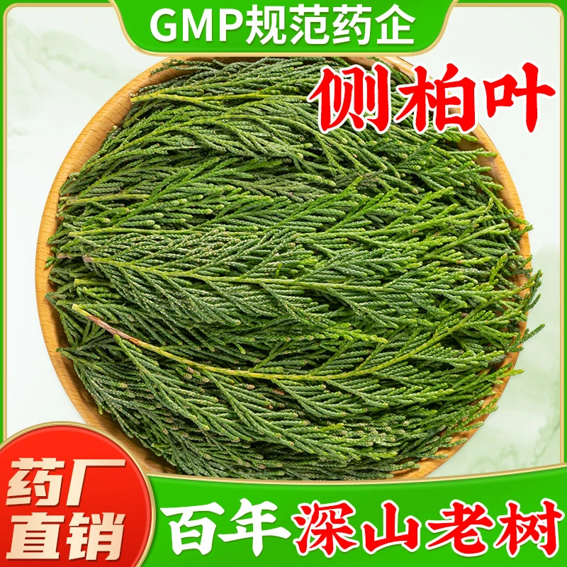 深山野生新鲜侧柏叶中药材旗舰店正品 侧伯叶柏树枝侧柏叶洗头粉