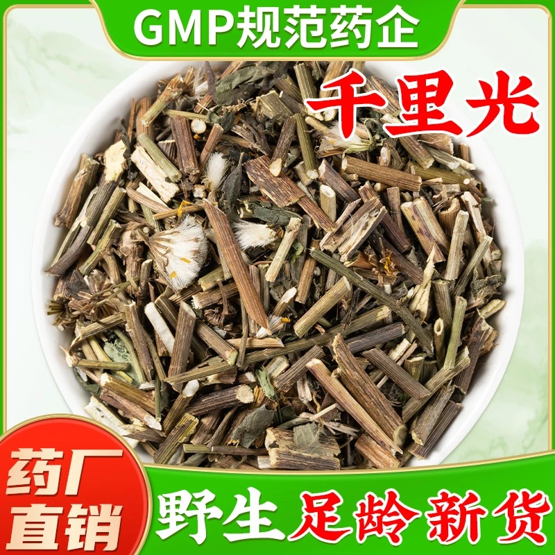 野生千里光中草药材官方旗舰店正品 千里光中药材 九里光草药材