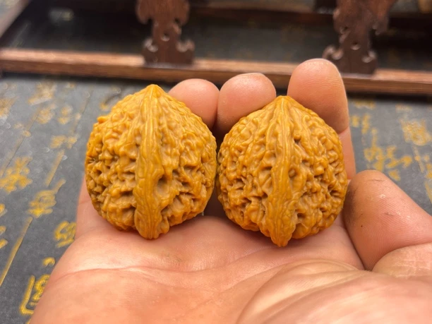 涿鹿一代老树南将石