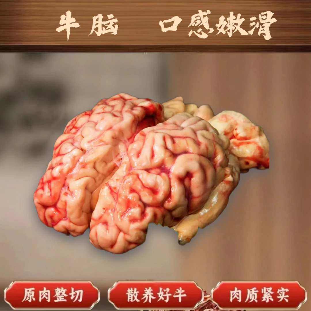 牛脑 四川特色金膘土黄牛纯草饲新鲜散养牛肉3斤起拍